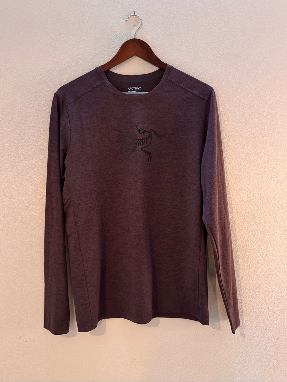 Arc'teryx Men's Long-Sleeve Crew in Plum Heather